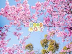 -福建鲤鱼洲酒店