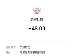 -哈根达斯(西安高新店)