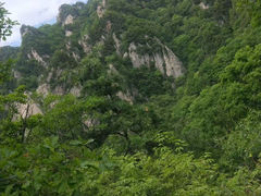 -王顺山国家森林公园