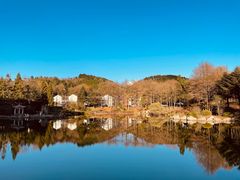 -四明山国家森林公园