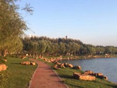 -丁香湖公园
