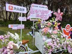 -顾村公园