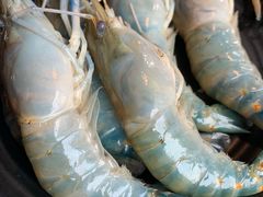 -Kingkong Buffet(The Mercury ville)