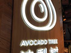 -油梨树AVOCADO TREE(嘉里中心店)