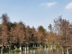 -海珠湖公园
