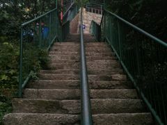 -王顺山国家森林公园