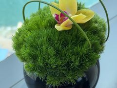 -大连君悦酒店·星海湾壹号Dalian·Dalian(星海广场店)