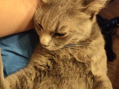 -猫岛主趣味餐厅(鼓浪屿店)