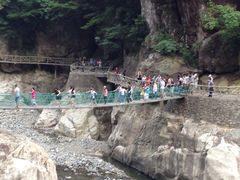 iphone_upload_pic-浙东大峡谷风景区