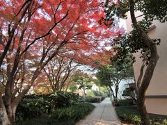 -上海市保健医疗中心