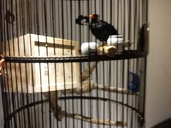 -清真·京华源铜锅涮肉(丰庆店)