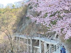 -少华山国家森林公园