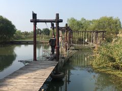 -长兴太湖图影湿地文化园