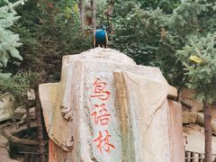-哈尔滨北方森林动物园