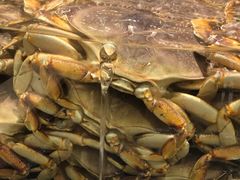 -海景壹号大酒店(滨湖店)