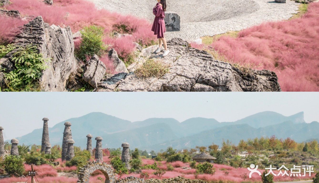 粉黛成海🔥重庆周边又有新秘境👉🏻叠石花谷