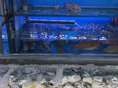 -钱塘府海鲜餐厅