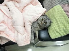 -太原东方动物医院(小店分院)