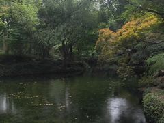 -秋霞圃