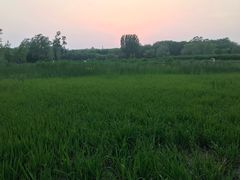 -奥林匹克森林公园南门-停车场
