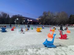 -沈阳奥体冰雪嘉年华