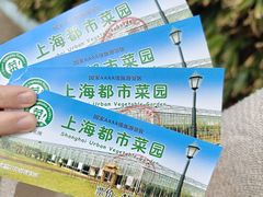 -上海都市菜园