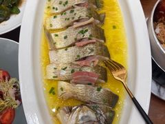 -鲁宴·鲁煨黄河生态大鲤鱼(月坛店)