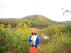 -五营红松林海景区