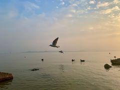 -深圳湾公园(南山区)
