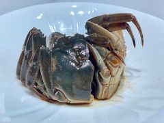 -新光酒家·河豚·海鲜·蟹料理(浦东店)