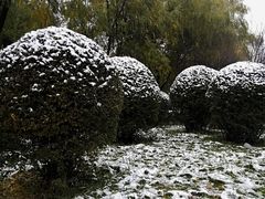 -黑龙江中医药大学