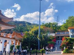 -深圳仙湖植物园