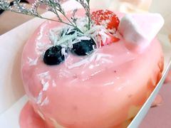-狐狸和向日葵(北京路店)