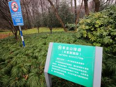 -紫霞湖公园
