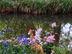 -上海共青森林公园