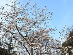 -新虹桥中心花园