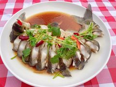 -上膳源有机农场