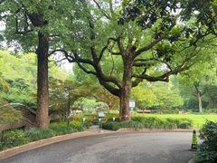 -申粤轩酒楼·三十年粤菜经典(丁香花园店)