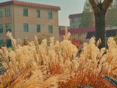 -上海财经大学(国定路校区)