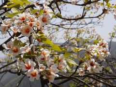 -舒家湾天主教堂
