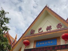 -云南勐巴娜西珍奇园