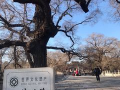 -北陵公园