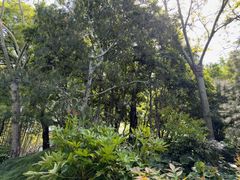 -秋霞圃