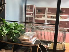 -藦茜花园宠物主题亲子互动体验馆(国顺东路店)