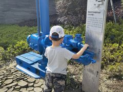 -成飞公园