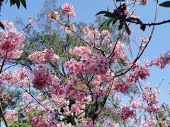 -桃花涧