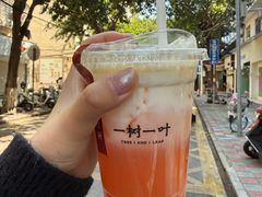 -一树一叶·福建茶档(石鼓路店)