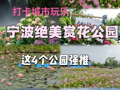 -三垟湿地