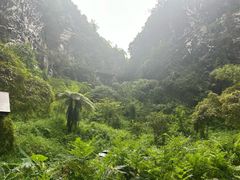 -百魔洞景区