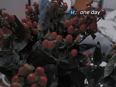 -胖哥俩肉蟹煲(长沙高铁吾悦广场店)